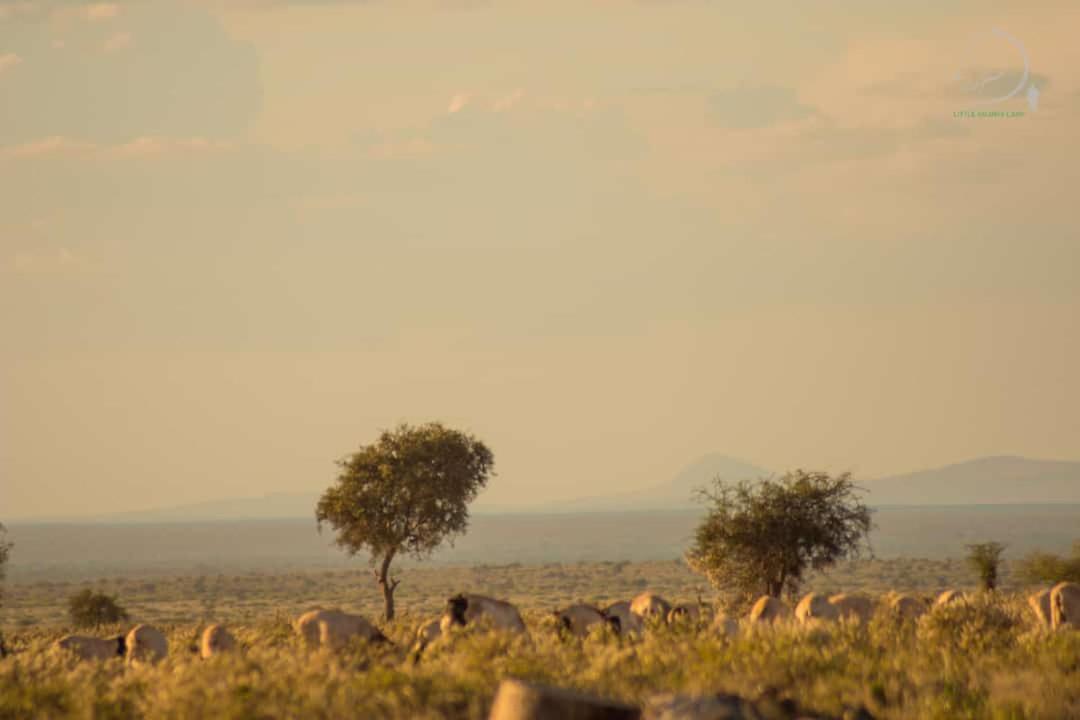 Amanya 3-Bedroom Hut Amboseli Exterior photo